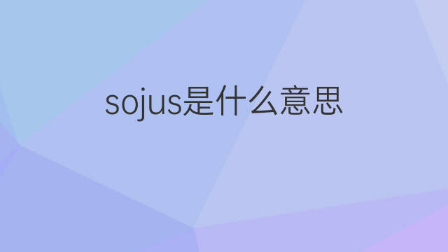 sojus是什么意思 sojus的中文翻译、读音、例句