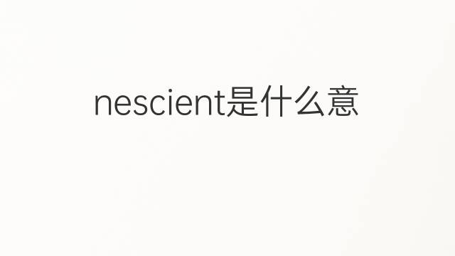 nescient是什么意思 nescient的中文翻译、读音、例句
