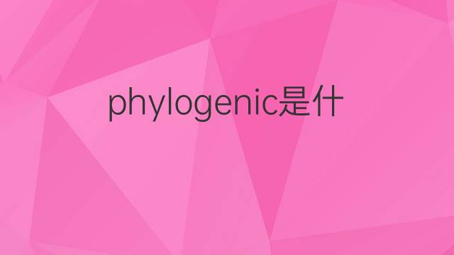 phylogenic是什么意思 phylogenic的中文翻译、读音、例句