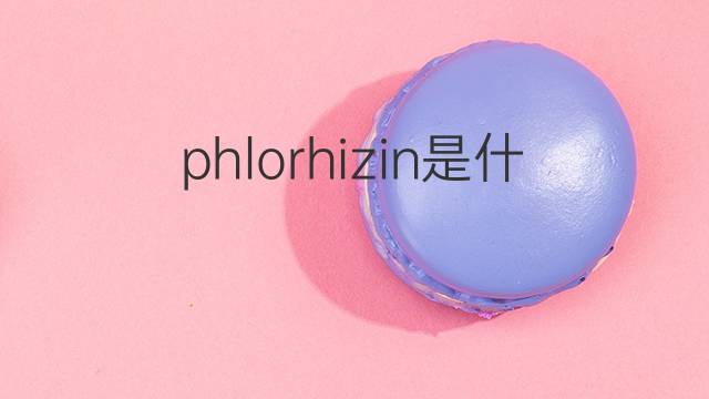 phlorhizin是什么意思 phlorhizin的中文翻译、读音、例句
