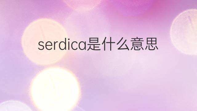 serdica是什么意思 serdica的中文翻译、读音、例句