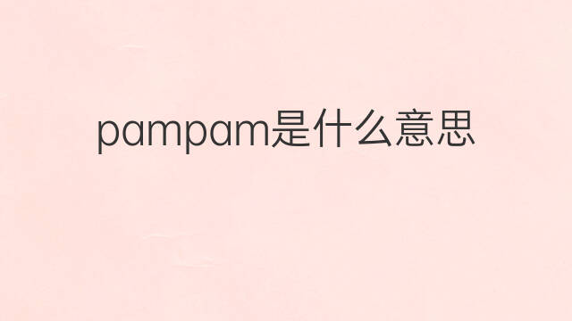 pampam是什么意思 pampam的中文翻译、读音、例句