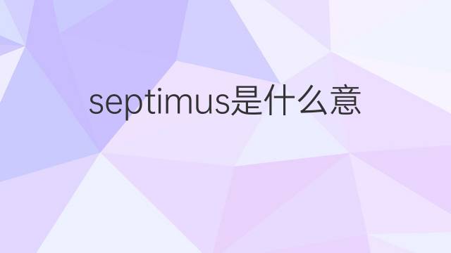 septimus是什么意思 septimus的中文翻译、读音、例句