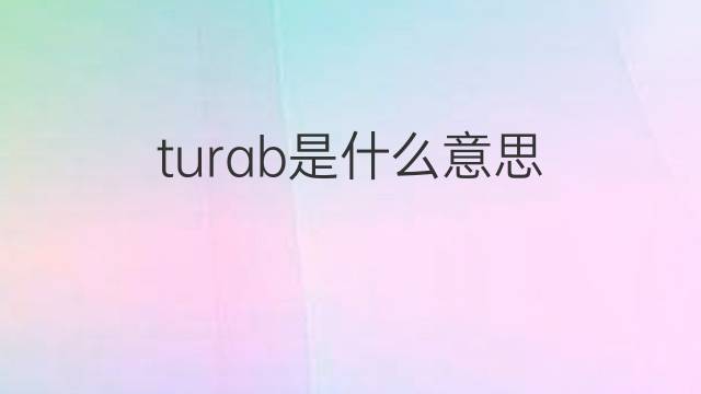 turab是什么意思 turab的中文翻译、读音、例句