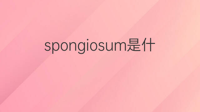 spongiosum是什么意思 spongiosum的中文翻译、读音、例句