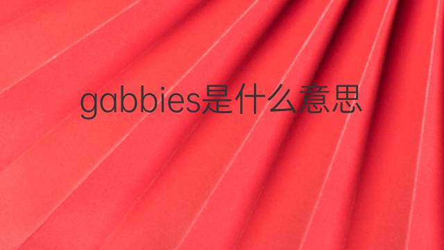 gabbies是什么意思 gabbies的中文翻译、读音、例句