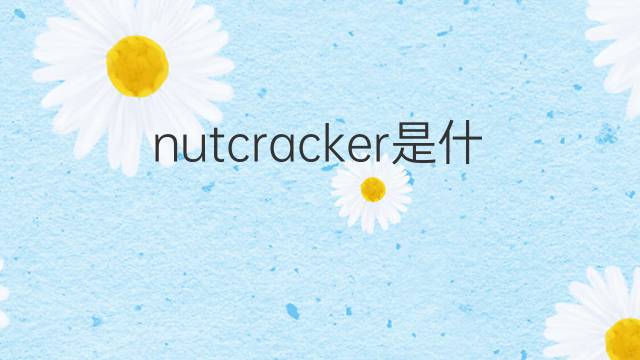 nutcracker是什么意思 nutcracker的翻译、读音、例句、中文解释