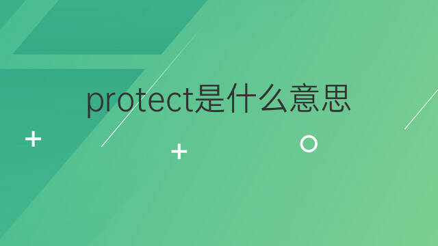 protect是什么意思 protect的中文翻译、读音、例句