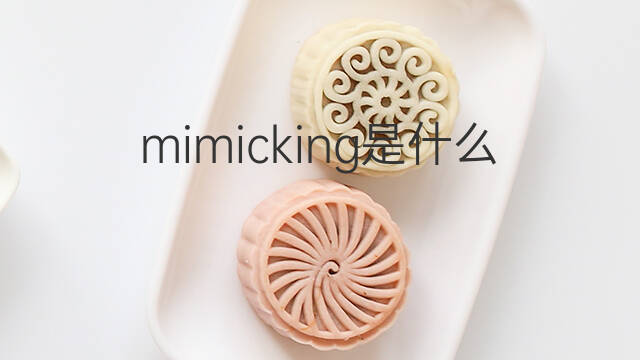 mimicking是什么意思 mimicking的中文翻译、读音、例句