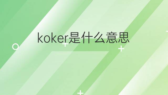 koker是什么意思 koker的翻译、读音、例句、中文解释