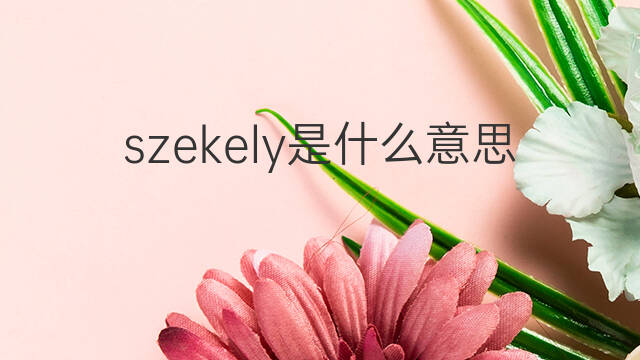 szekely是什么意思 szekely的中文翻译、读音、例句