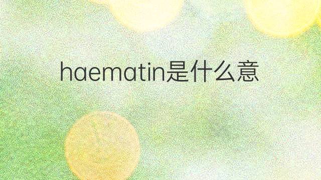 haematin是什么意思 haematin的中文翻译、读音、例句