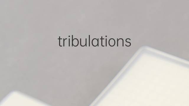 tribulations是什么意思 tribulations的中文翻译、读音、例句