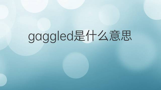 gaggled是什么意思 gaggled的中文翻译、读音、例句