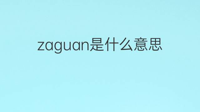 zaguan是什么意思 zaguan的中文翻译、读音、例句