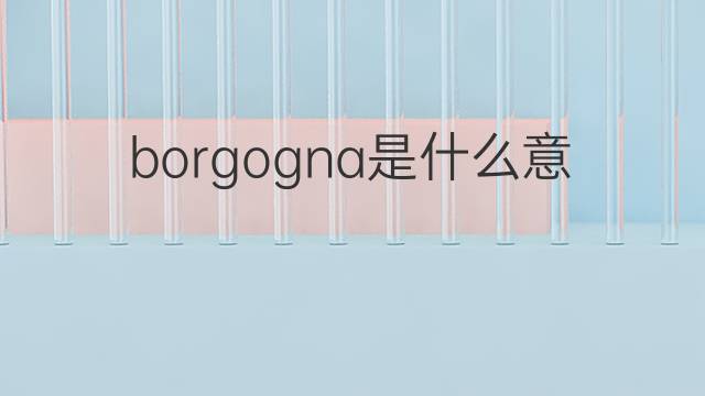 borgogna是什么意思 borgogna的中文翻译、读音、例句