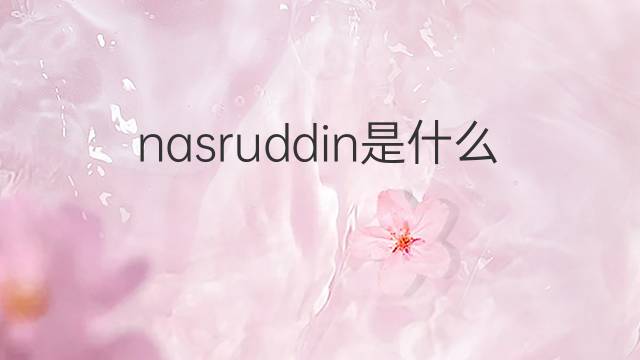 nasruddin是什么意思 nasruddin的翻译、读音、例句、中文解释