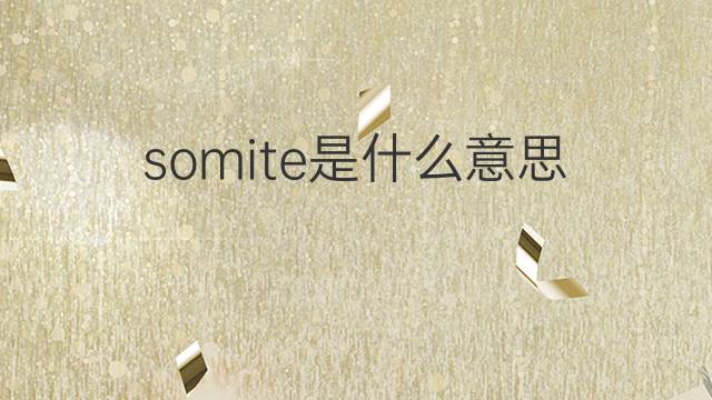 somite是什么意思 somite的中文翻译、读音、例句