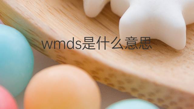 wmds是什么意思 wmds的中文翻译、读音、例句