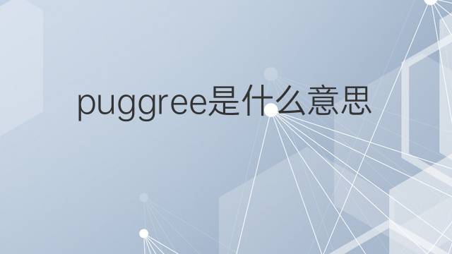 puggree是什么意思 puggree的中文翻译、读音、例句