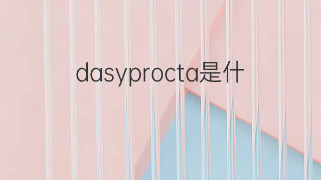 dasyprocta是什么意思 dasyprocta的中文翻译、读音、例句