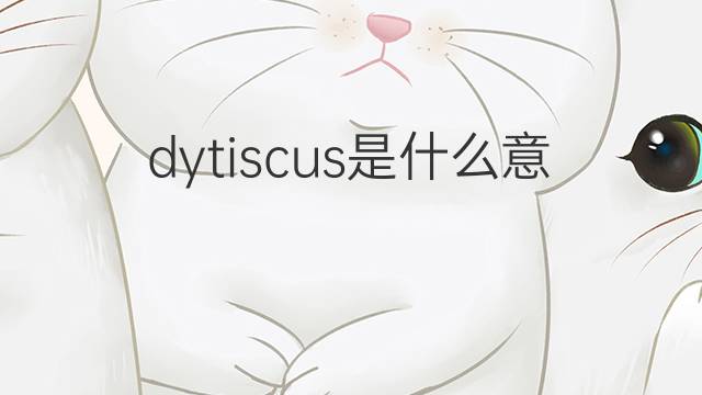 dytiscus是什么意思 dytiscus的中文翻译、读音、例句