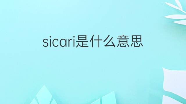 sicari是什么意思 sicari的中文翻译、读音、例句