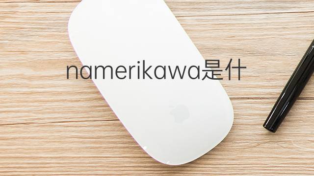 namerikawa是什么意思 namerikawa的中文翻译、读音、例句