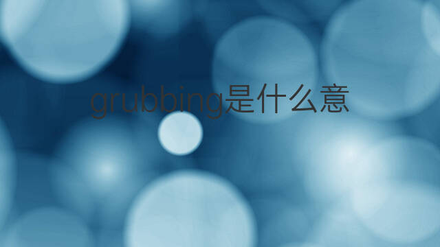 grubbing是什么意思 grubbing的中文翻译、读音、例句