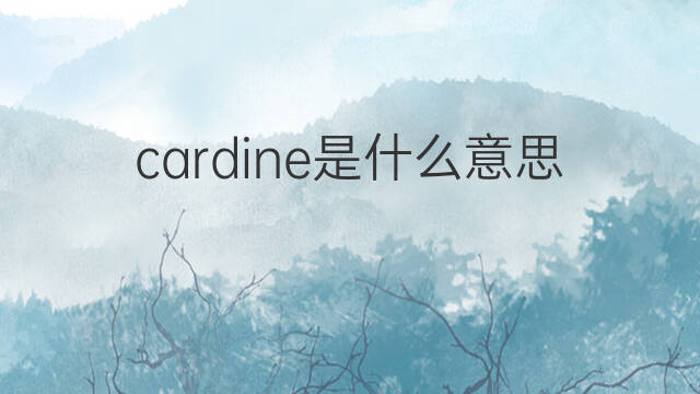 cardine是什么意思 cardine的中文翻译、读音、例句