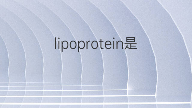 lipoprotein是什么意思 lipoprotein的中文翻译、读音、例句