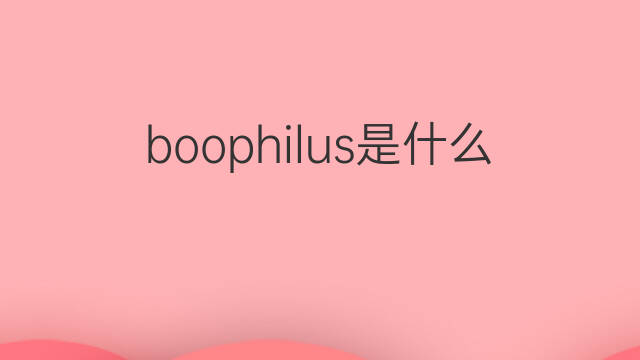 boophilus是什么意思 boophilus的中文翻译、读音、例句
