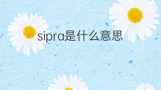 sipra是什么意思 sipra的中文翻译、读音、例句
