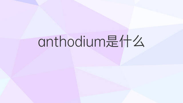 anthodium是什么意思 anthodium的中文翻译、读音、例句