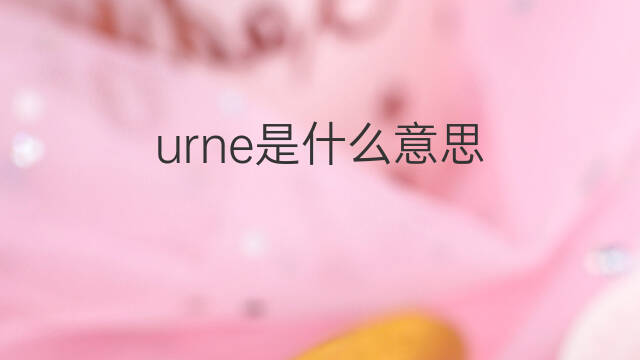 urne是什么意思 urne的中文翻译、读音、例句
