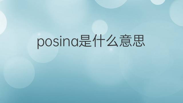 posina是什么意思 posina的中文翻译、读音、例句