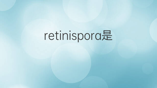retinispora是什么意思 retinispora的中文翻译、读音、例句