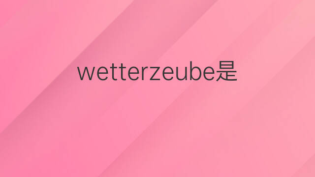 wetterzeube是什么意思 wetterzeube的中文翻译、读音、例句