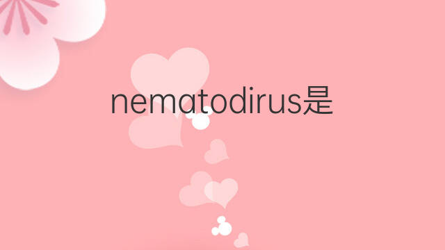 nematodirus是什么意思 nematodirus的中文翻译、读音、例句