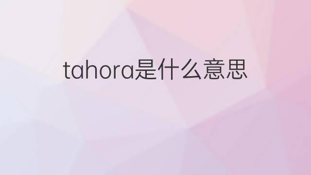 tahora是什么意思 tahora的中文翻译、读音、例句