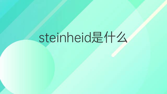 steinheid是什么意思 steinheid的中文翻译、读音、例句