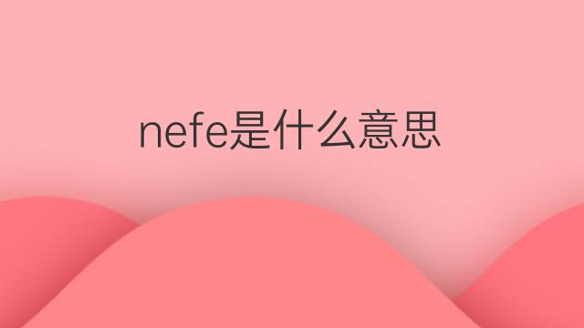 nefe是什么意思 nefe的中文翻译、读音、例句