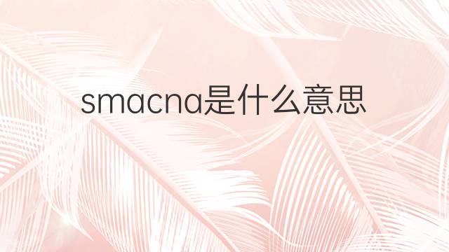 smacna是什么意思 smacna的中文翻译、读音、例句