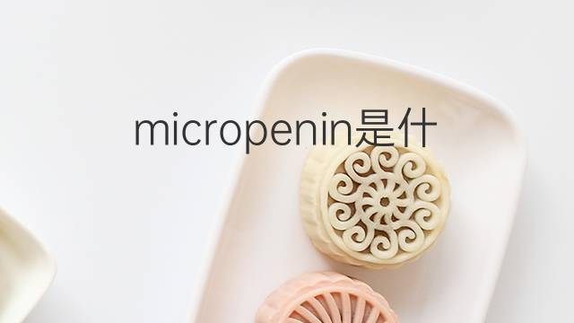 micropenin是什么意思 micropenin的中文翻译、读音、例句