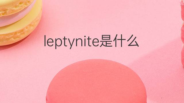 leptynite是什么意思 leptynite的中文翻译、读音、例句