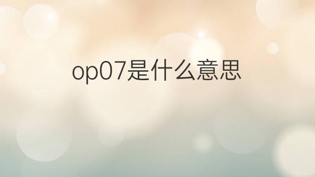op07是什么意思 op07的中文翻译、读音、例句