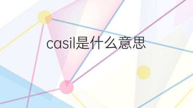 casil是什么意思 casil的中文翻译、读音、例句