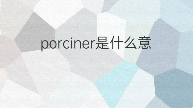 porciner是什么意思 porciner的中文翻译、读音、例句
