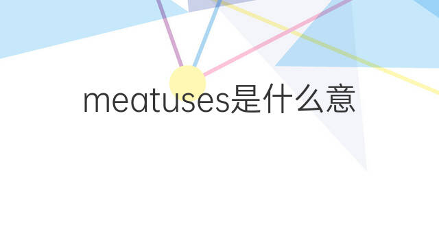 meatuses是什么意思 meatuses的中文翻译、读音、例句
