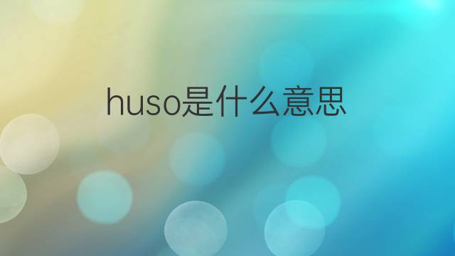 huso是什么意思 huso的中文翻译、读音、例句